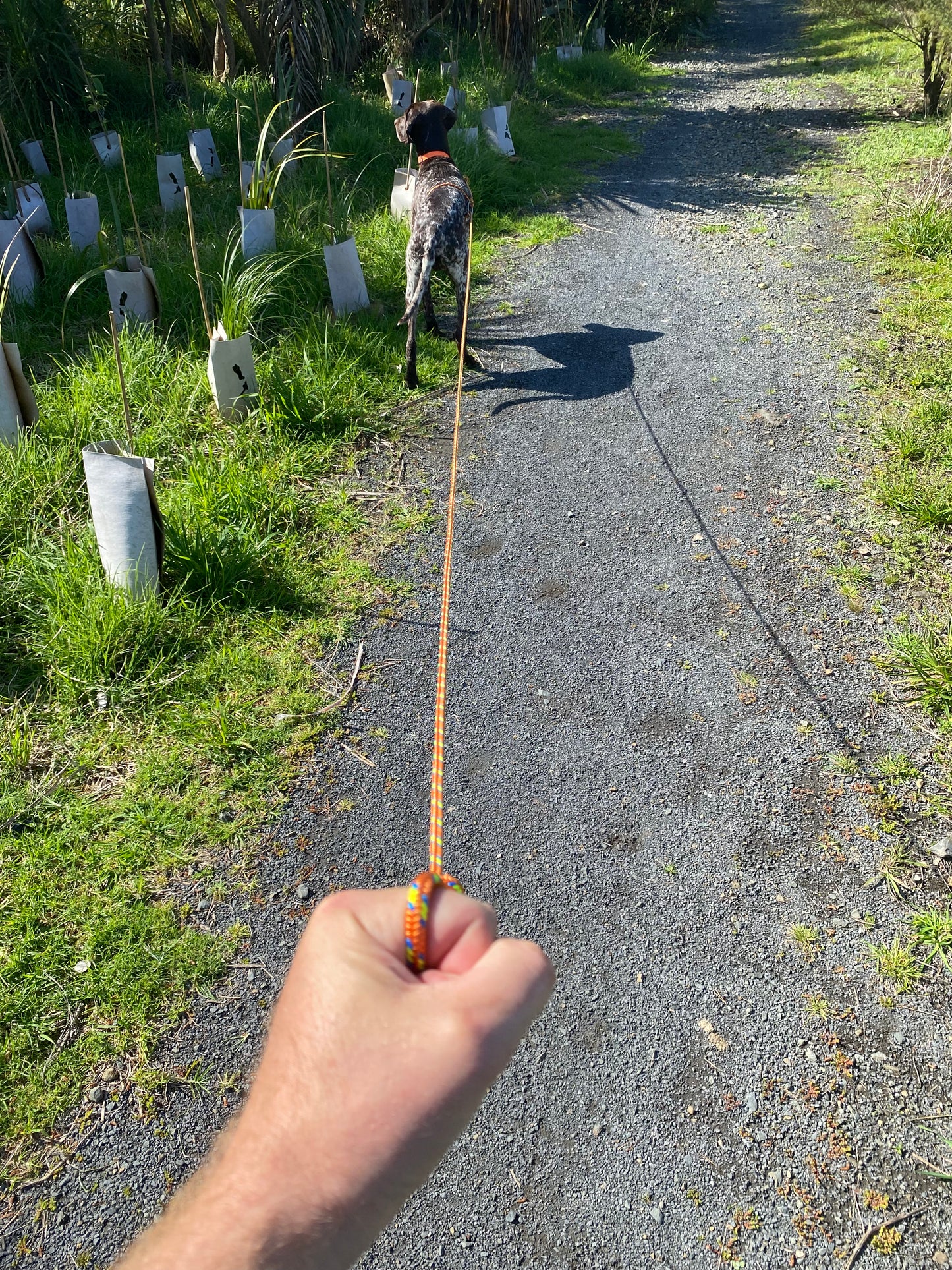 Owooo™ two-in-one Long Line Dog Leash - 5 and 8-metre