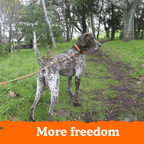 Owooo™ 2-in-1 No Pull Dog Leash