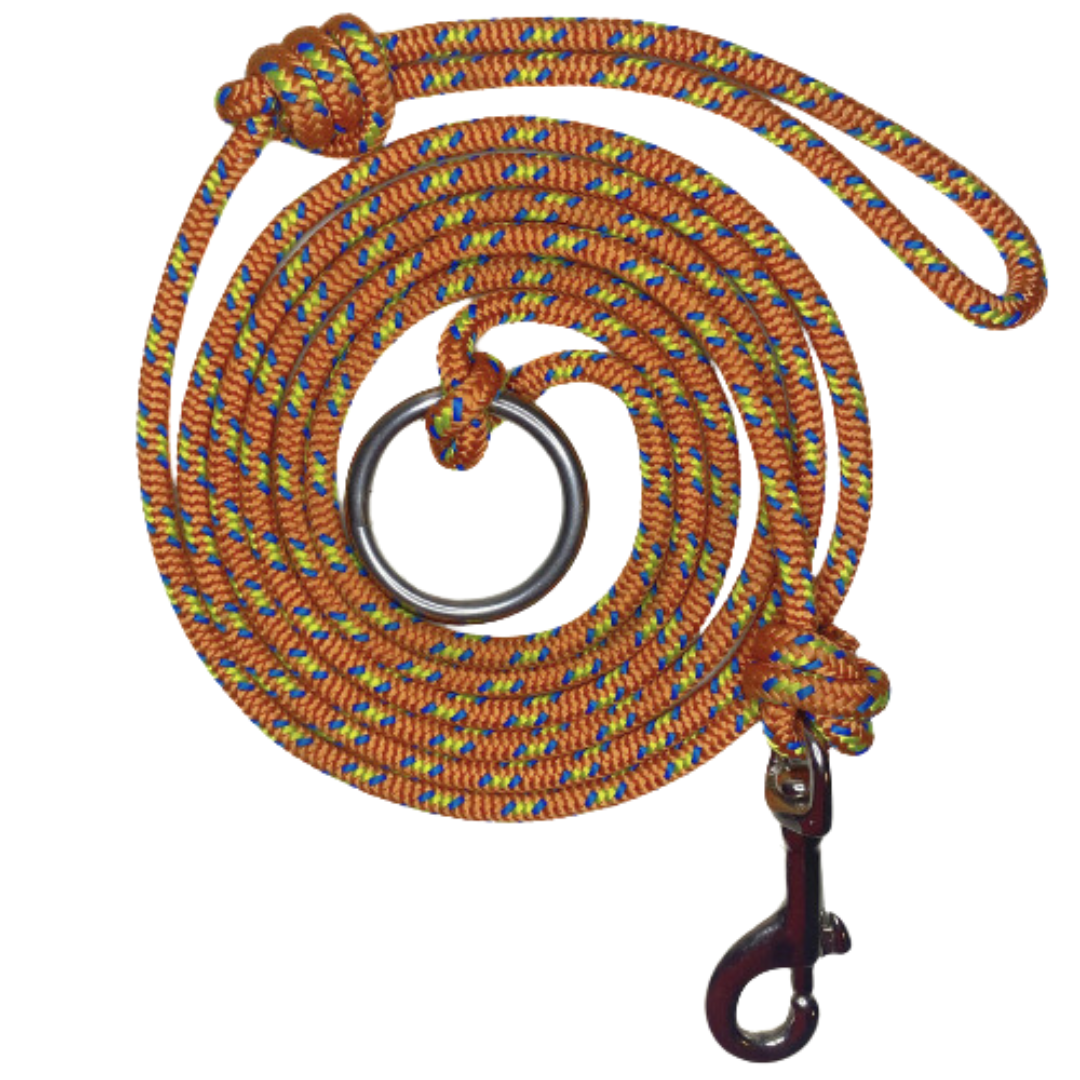 Owooo™ 2-in-1 No Pull Dog Leash