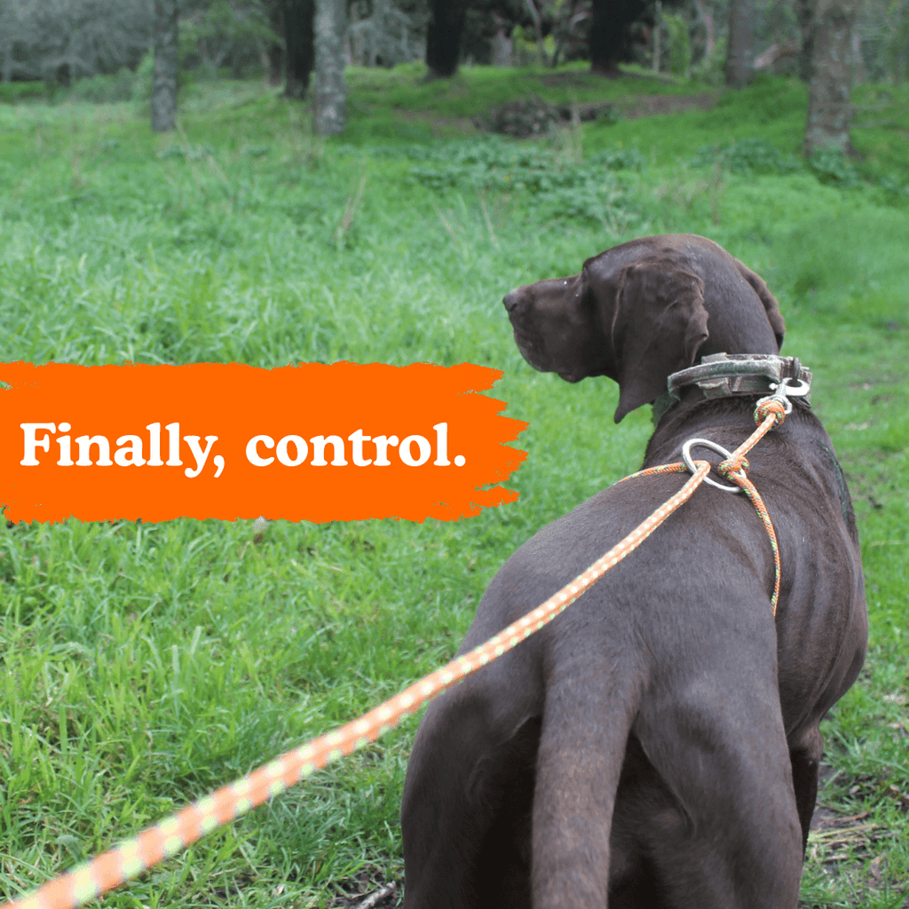 Owooo™ 2-in-1 No Pull Dog Leash