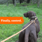 Owooo™ 2-in-1 No Pull Dog Leash