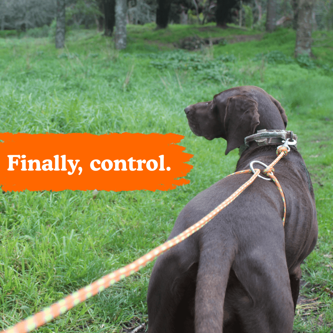 Owooo™ 2-in-1 No Pull Dog Leash