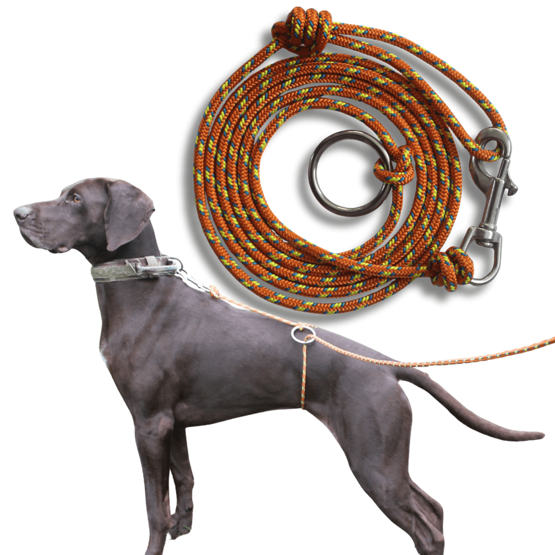 Owooo™ 2-in-1 No Pull Dog Leash
