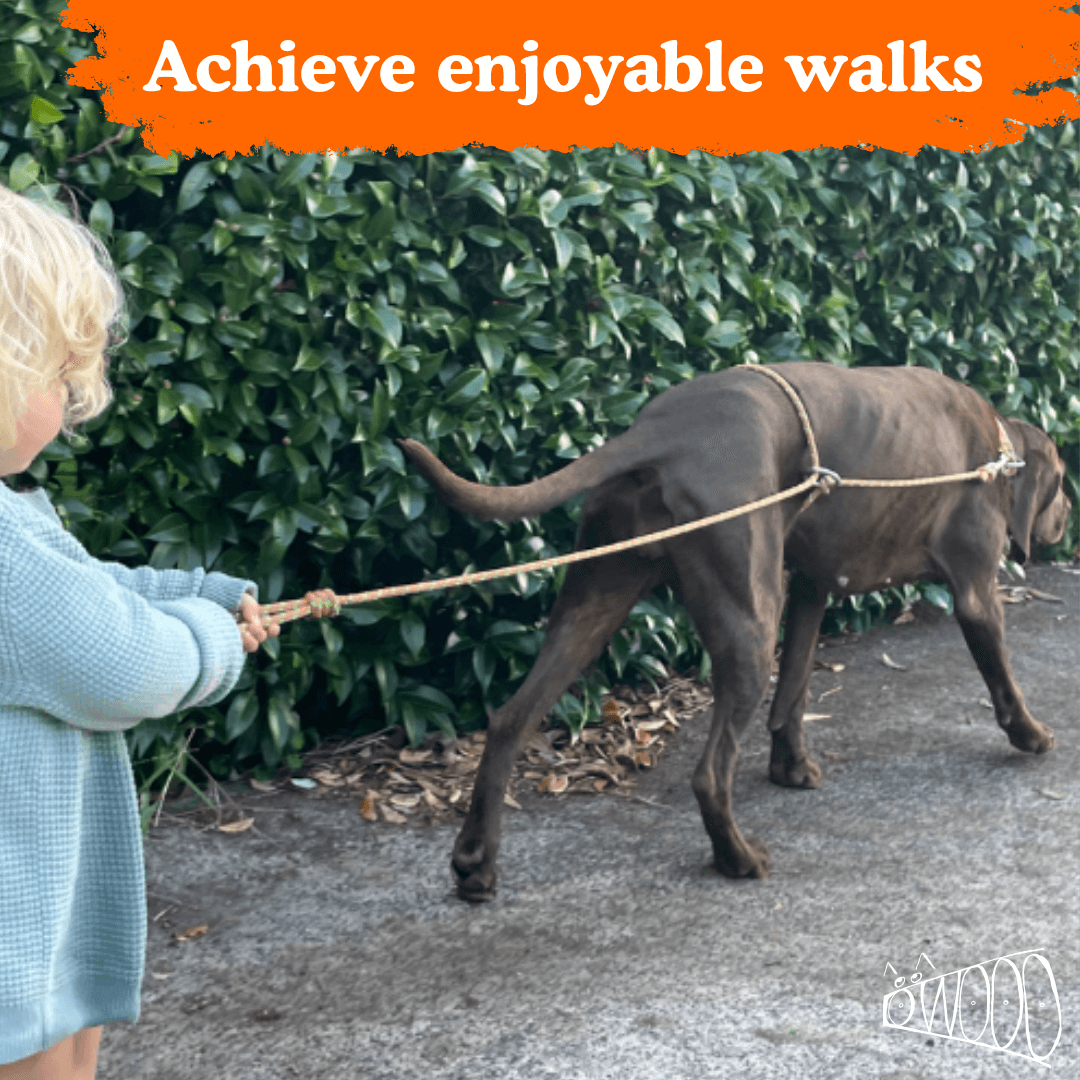 Owooo™ 2-in-1 No Pull Dog Leash